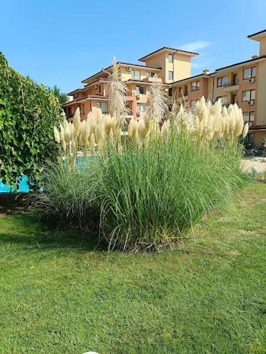 Magic Dreams Apartments Светий Влас Екстер'єр фото